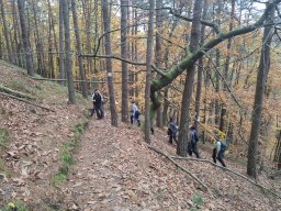 kgk-touren &raquo; Wanderung Lindelbrunn - November 2025